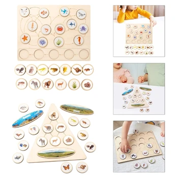 Биология экологическая пищевая цепочка сортировка головоломка обучающая игрушка доска для детского сада игрушка дропшиппинг